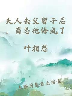 夫人去父留子后，商总他悔疯了