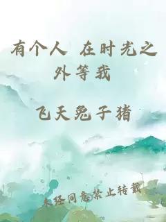 有个人 在时光之外等我