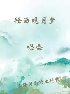 轻洒观月梦