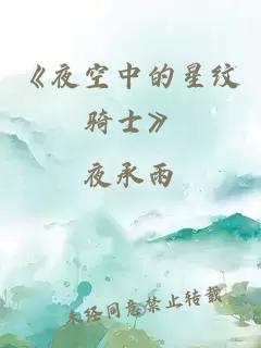 《夜空中的星纹骑士》