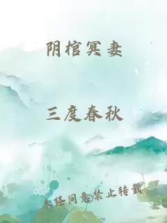 阴棺冥妻