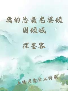 我的总裁老婆倾国倾城