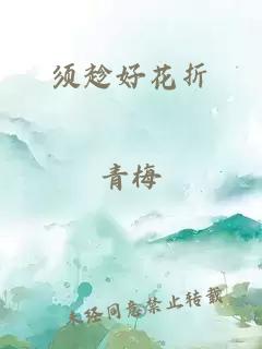 须趁好花折