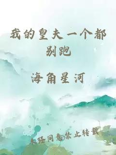 我的皇夫一个都别跑