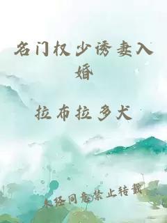 名门权少诱妻入婚