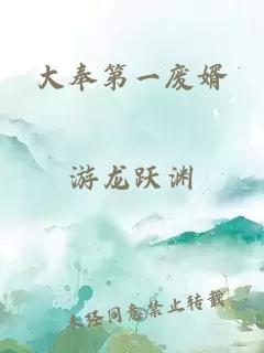 大奉第一废婿