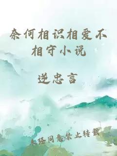 奈何相识相爱不相守小说