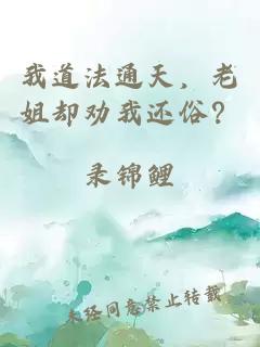 我道法通天，老姐却劝我还俗？