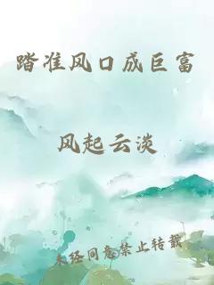 踏准风口成巨富