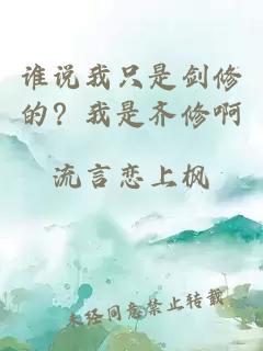 谁说我只是剑修的？我是齐修啊