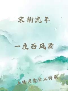 宋韵流年