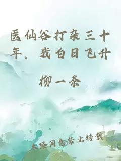 医仙谷打杂三十年,我白日飞升
