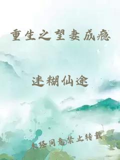 重生之望妻成瘾