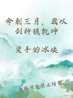 命剩三月，我以剑种镇乾坤