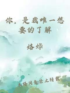 你，是我唯一想要的了解