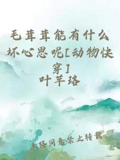 毛茸茸能有什么坏心思呢[动物快穿]