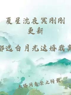 夏星沈夜冥刚刚更新