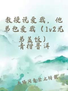 教授说爱我，他弟也爱我（1v2兄弟盖饭）