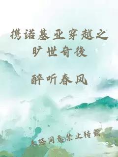 携诺基亚穿越之旷世奇後