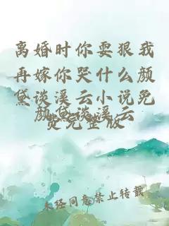 离婚时你耍狠我再嫁你哭什么颜黛谈溪云小说免费完整版