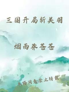 三国开局斩关羽
