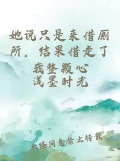 她说只是来借厕所，结果借走了我整颗心