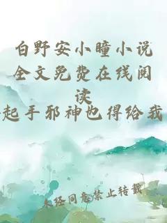 白野安小瞳小说全文免费在线阅读