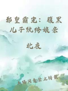 邪皇霸宠：腹黑儿子纨绔娘亲