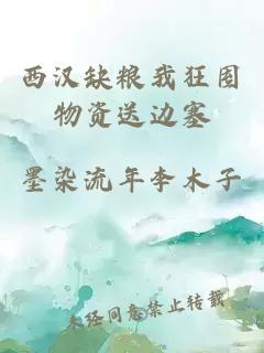 西汉缺粮我狂囤物资送边塞