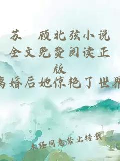 苏婳顾北弦小说全文免费阅读正版