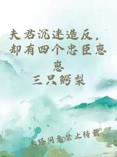 夫君沉迷造反，却有四个忠臣崽崽