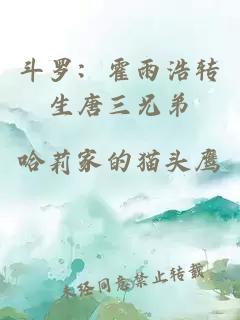 斗罗：霍雨浩转生唐三兄弟