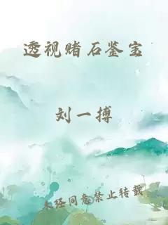 透视赌石鉴宝