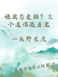 嫌我恋爱脑？三个道侣追着宠