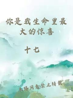 你是我生命里最大的惊喜