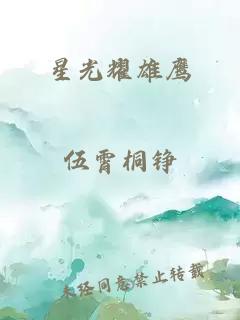 星光耀雄鹰