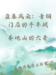 盗墓风云：青铜门后的千年战