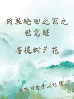 因果轮回之第九世觉醒