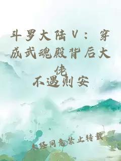 斗罗大陆Ⅴ：穿成武魂殿背后大佬