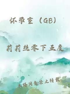 怀孕室（GB）