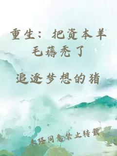 重生：把资本羊毛薅秃了
