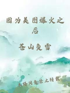 因为美图爆火之后