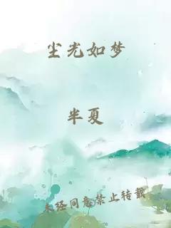 尘光如梦