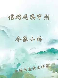 信鸽观察守则