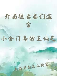 开局被妻妾们逼宫
