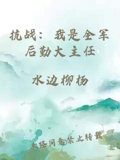 抗战：我是全军后勤大主任