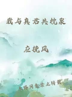 我与真君共枕泉