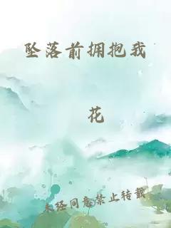 坠落前拥抱我