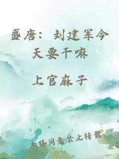 盛唐:刘建军今天要干嘛