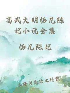 高武大明杨凡陈妃小说全集